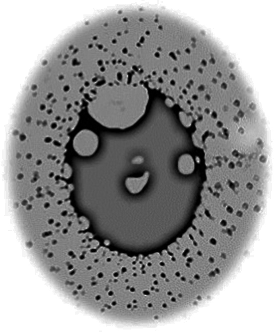 Where did the tin go? Mass loss from a thin sheet of tin